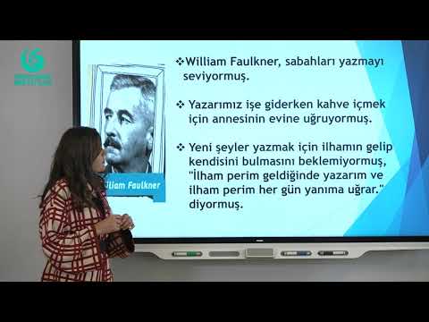 Başarı Hikâyeleri