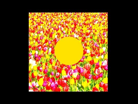 Arling & Cameron "Spring Song" (Jeremy Ebell Remix)