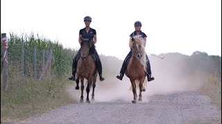 🐴 AUFSTEIGEN – dein begleiteter Weg zurück in den Sattel