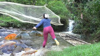 Fishing Techniques: How To Trap Stream Fish and Traditional Fishing with  Net, Catch a Lot Of Fish