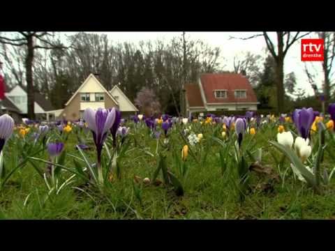 Strunen in Darp - 28 maart 2014