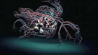 Transglobal Underground - Body Machine (original)