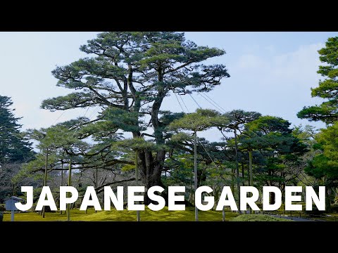 Japanese Garden