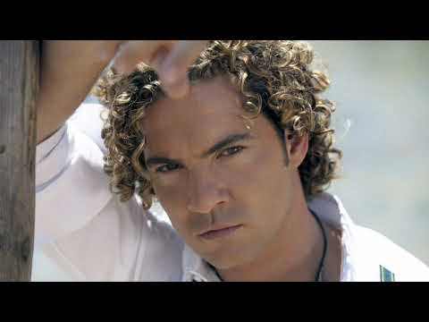 Abel Montoya - Faltas Tú Falta Todo - (DAVID BISBAL COVER IA)