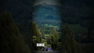Download lagu story wa (satu rasa cinta) mp3 Download lagu story wa (satu rasa cinta) mp3