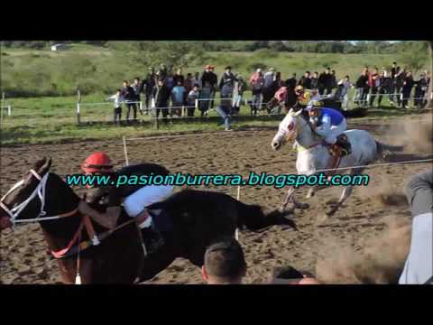 Malcriado, Las Cañadas (16-04-17)