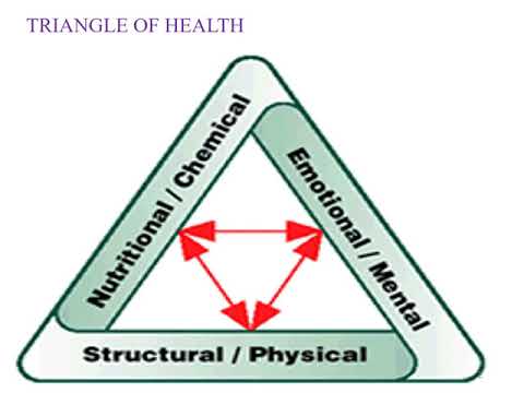 REPRODUCTIVE – MALE