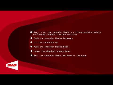 CE2M8V60 Theraband Exercises - Setting the Scapula