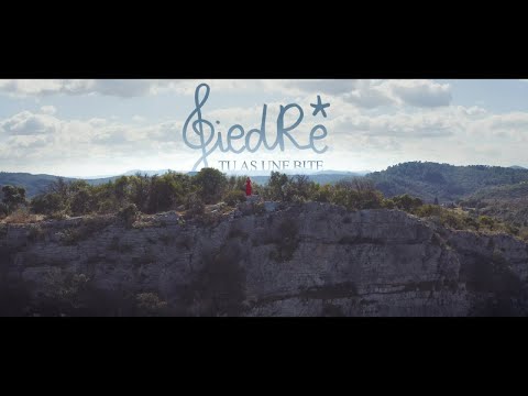 GiedRé - Tu as une bite