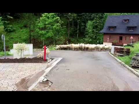 Blockhaus Vanesa - Terchová 4