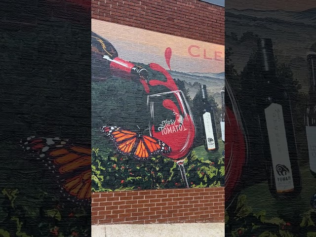 Exterior Wall Wrap for Tipsy Tomato