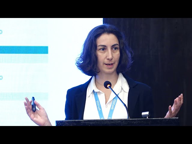 Integrated Spatial Planning for Resilient & Sustainable Development | Pinar Caglin
