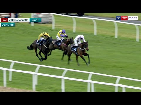 DRAMA! Constitution Hill & The New Lion BOTH FALL as Golden Ace wins Fighting Fifth!