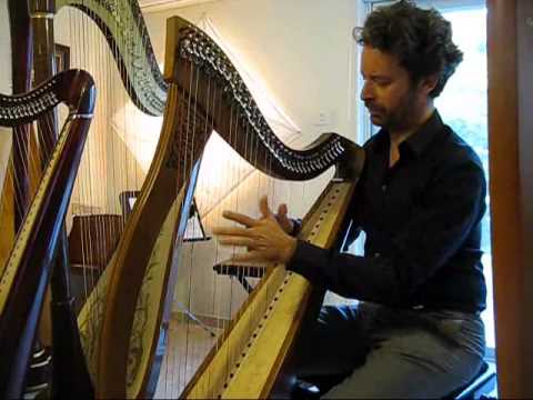 Israel's harp teacher meeting