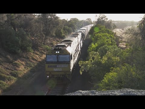 PM5 with NR53 & NR82 - PoathTV Australian Trains & Railways