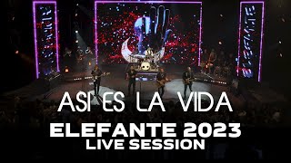 Asi es la Vida ELEFANTE 2023 (Live Session)