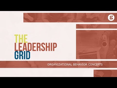 What is Organizational Behavior