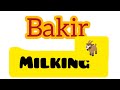 Bakri Milking