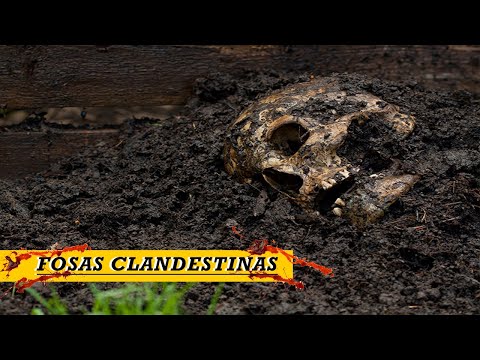 Fosas clandestinas | Antropología Forense