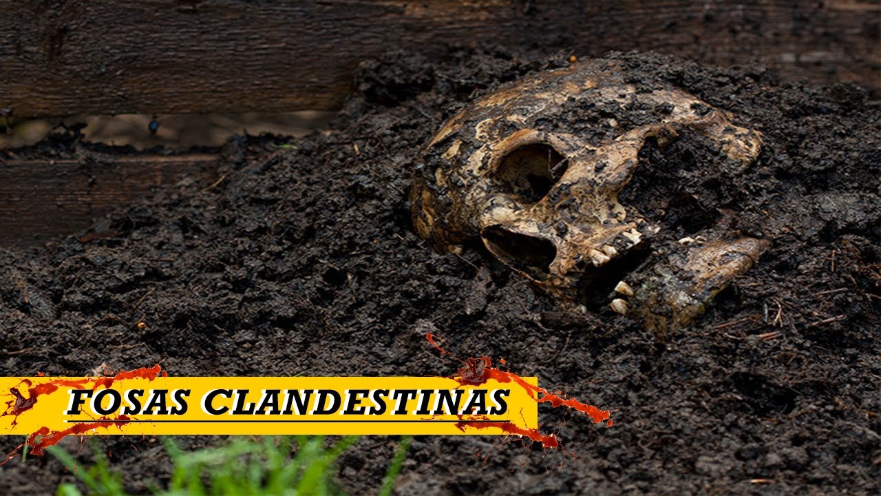 Fosas clandestinas | Antropología Forense