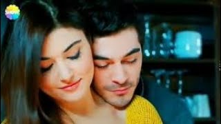 Iso musta Dicks aasi alaiset poikaset