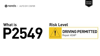 Meaning of OBD p2549