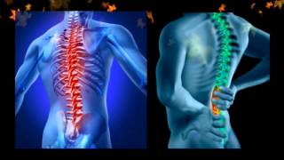 preview picture of video 'Chiropractor Parker Co | The Preferred Chiropractor Parker Co Office'