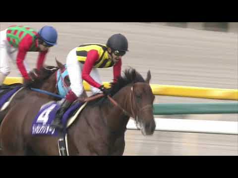 2012 安田記念 (GⅠ) 直線