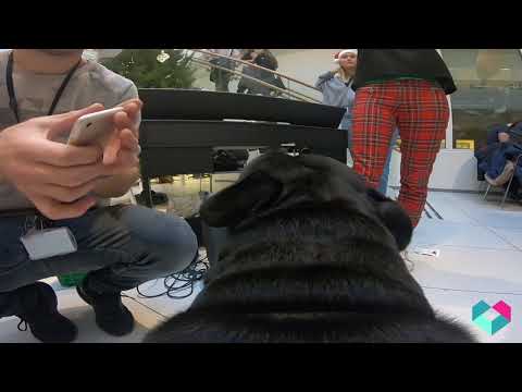 Livet på Ullern vgs - ep. 1