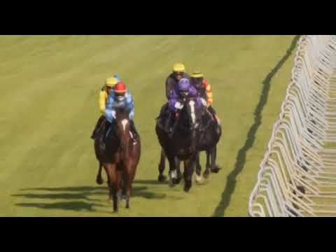 MARINA -  WORLD SPORTS BETTING STORMSVLEI STAKES