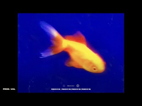 🌴 "SCATPACK" Bad Bunny X MORA Type Beat 📸 Type beat 2025