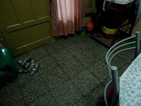 Mateo Katzenstein,baila !!