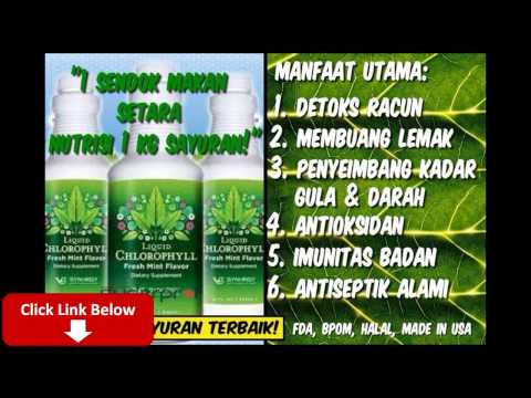 Untuk potensi lebih baik untuk makan Hamil jika penis kecil