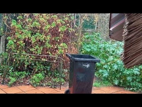 Lluvia ⛈️ y granizo 💚 en Pinamar, Canelones, Uruguay 🇺🇾