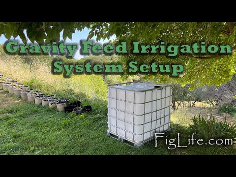 Gravity Feed Irrigation Setup