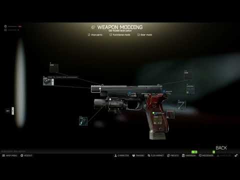 Gunsmith Part 9  P226R