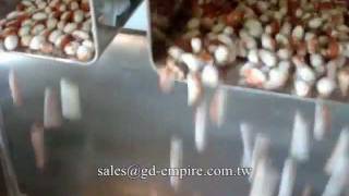 preview picture of video 'Automatic Bean Packaging Machine'