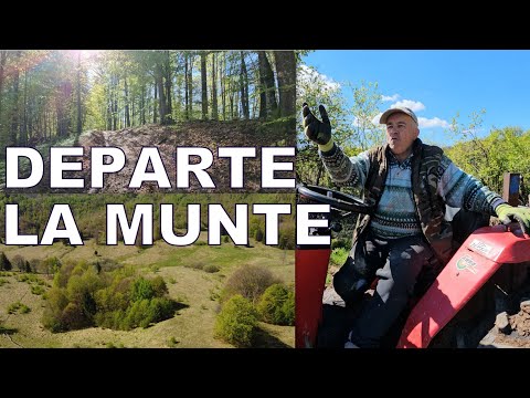 Viața în cătunele din Munții Poiana Ruscă: „Îmi vine să plâng de ce au ajuns”