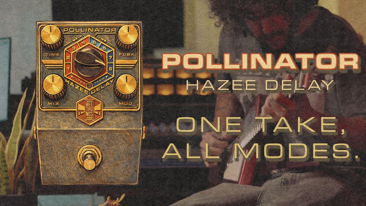 One Take, All Modes &bull; Pollinator Hazee Delay - YouTube