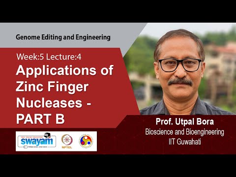 Genome Editing and Engineering Intro Video