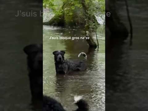 On est bien entre boulet