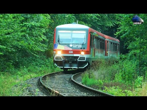 Trenurile Serii/Evening Trains in Defileul Crișului Repede Canyon - 03 July 2019
