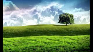 Ray Conniff   A Holy Night