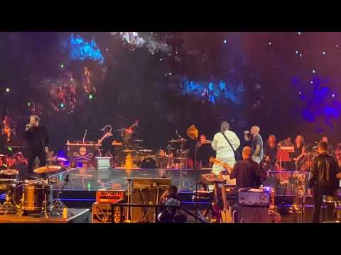 Tryo, McFly et Carlito - Désolé pour hier soir - 40 ans de Bercy - Paris 2024