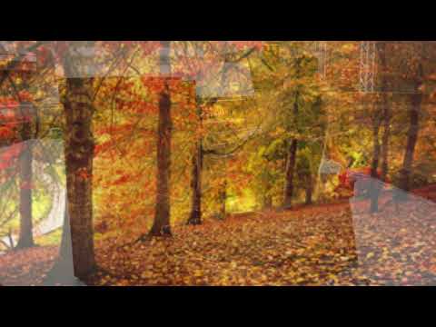 Jung-A Lee plays Count Your Blessings, arr. by Dan Miller, 주신 복을 세어보아라