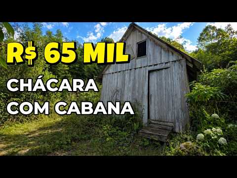 Vídeo