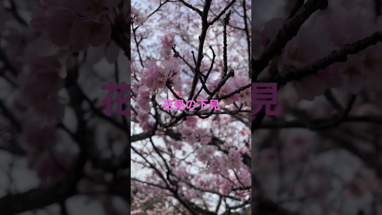 YouTube Short thumbnail