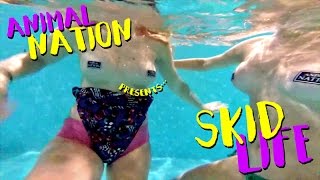 Animal Nation - SkidLife [OFFICIAL VIDEO]