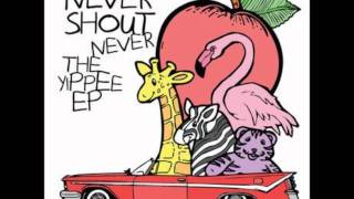 Heregoesnothin- Never Shout Never