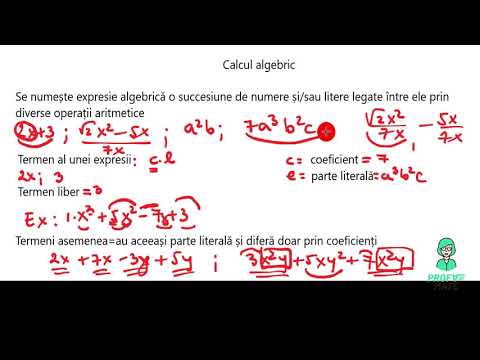 Calcul algebric- introducere